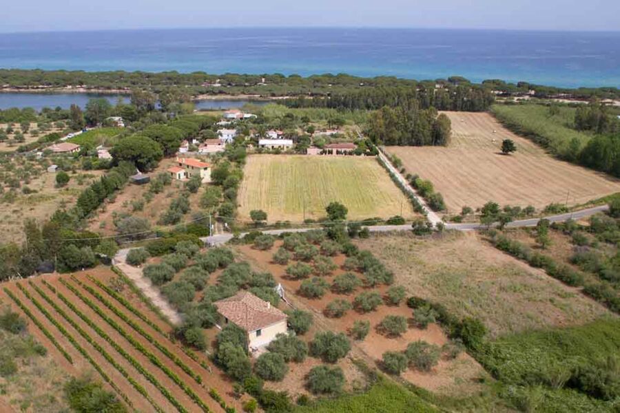 Villa Olive Tree - No. 608