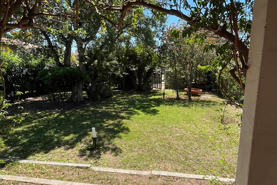 Nido Pira - No. S491