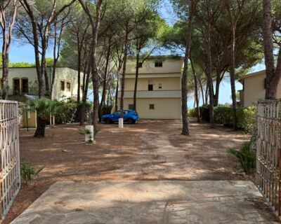Cala Liberotto Surfers´ Number One - No. 555C