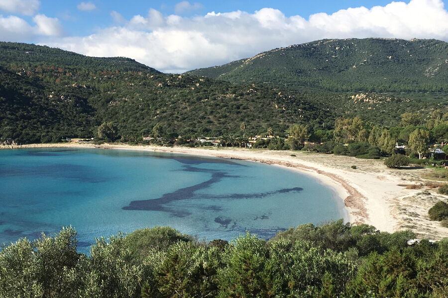 Nido Pira - No. S491