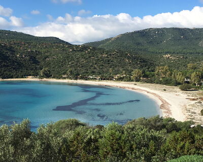 Nido Pira - No. S491