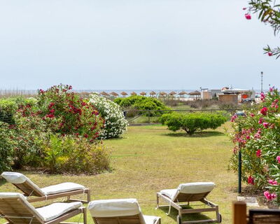 Viletta Mare - No. S412