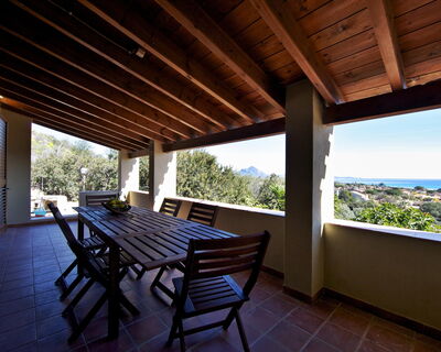 Vliletta Bianca - No. S462