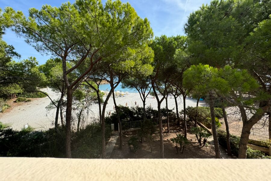 Cala Liberotto Surfers´ Number One - No. 555C