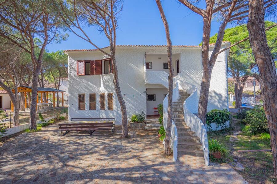 The very special apartment - No. 301B