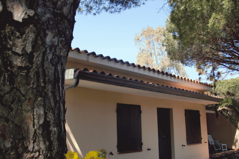 Surfer´ Dream House I - No. 305/3