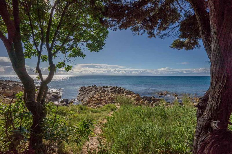 Seaside Villa Cala Liberotto - No. 516/2