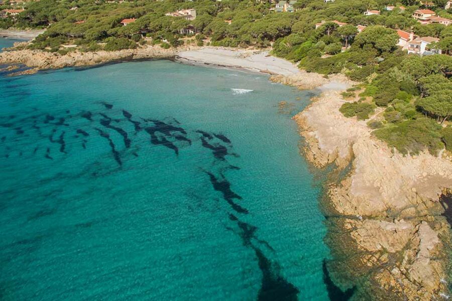 Cala Liberotto Pool Apartments - No. 510D