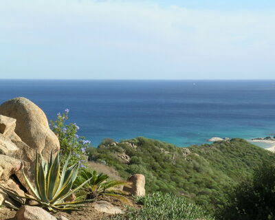 House at the Top II - No. S496