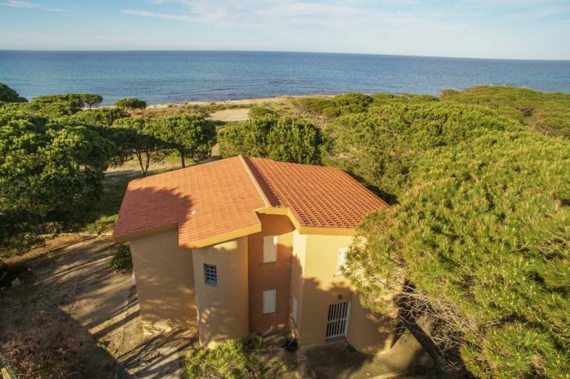 Surfer´ Dream House II - No. 308/1