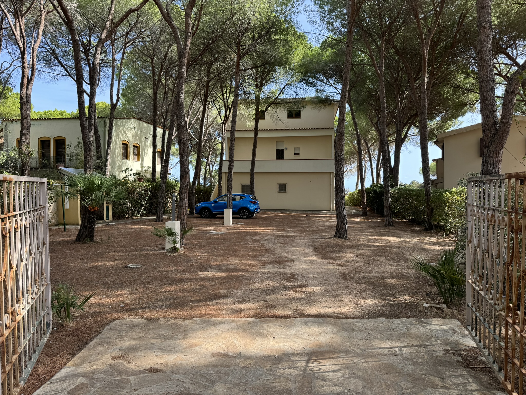 Cala Liberotto Surfers´ Number One - No. 555C
